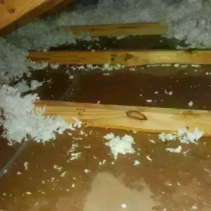 Attic Water Damage in Polk County, TX