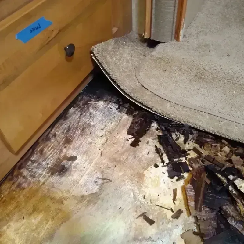 Wood Floor Water Damage in Polk County, TX